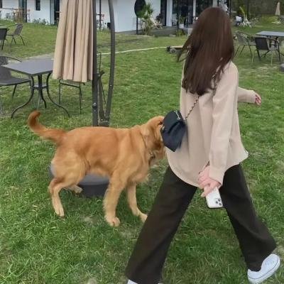 华丽一族